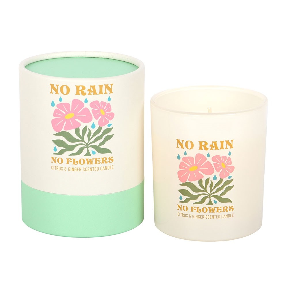 Something Different - No Rain, No Flowers Citrus & Ginger Bougie Parfumée - Multicolore